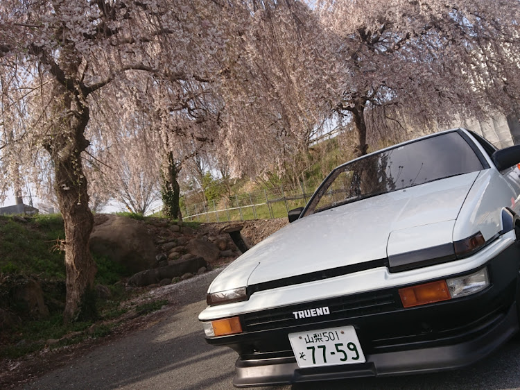 スプリンタートレノのドライブ・桜とコラボ・ハチロクに関するカスタム事例の投稿画像2枚目
