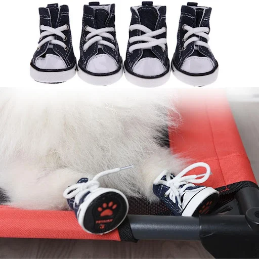 images slider number - 5