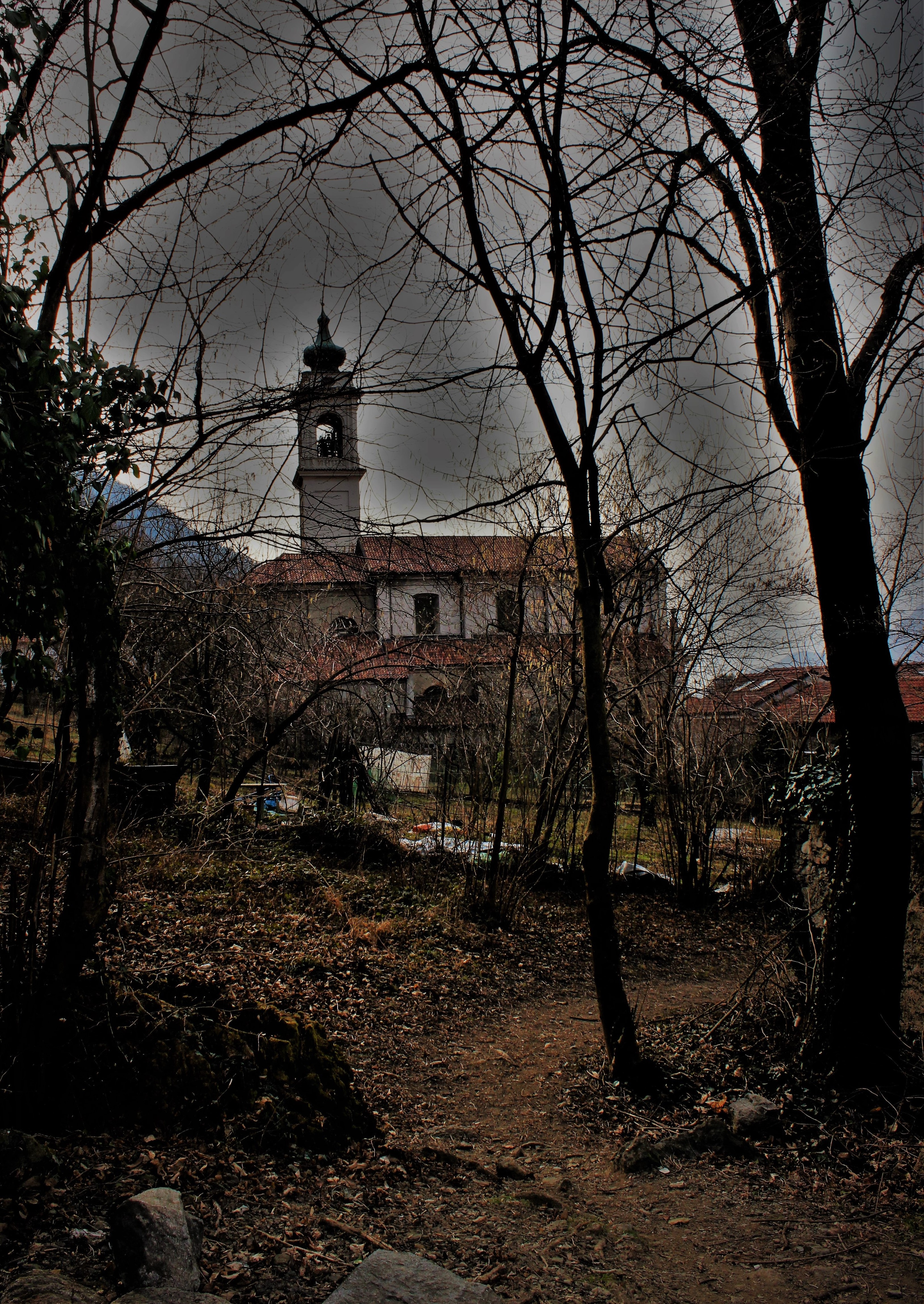 bosco antico di lucky13