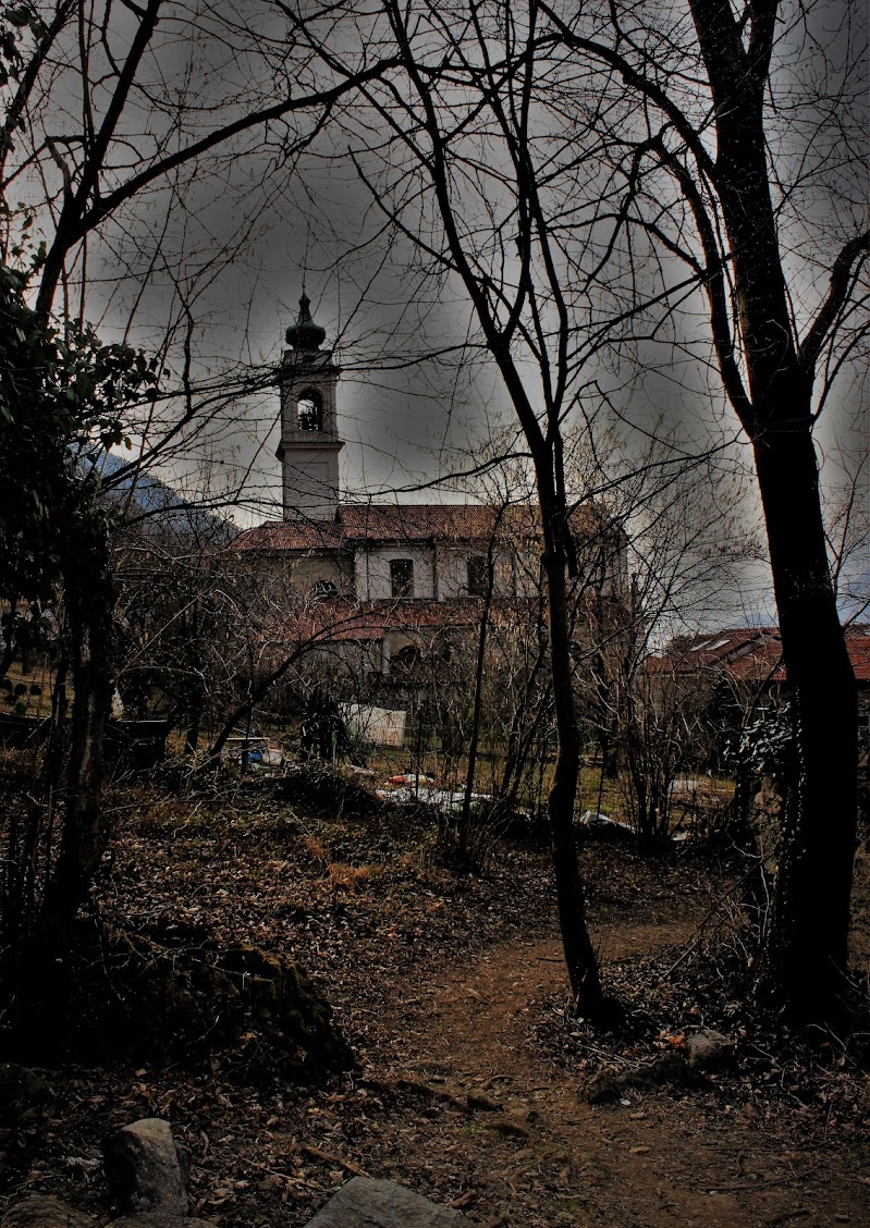 bosco antico di lucky13