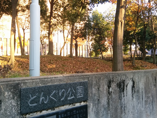 どんぐり公園