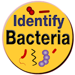 Cover Image of Baixar Bacteria Identification Made Easy | Free & Offline 2.1.1 APK