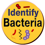 Bacteria Identification Made Easy | Free & Offline Apk