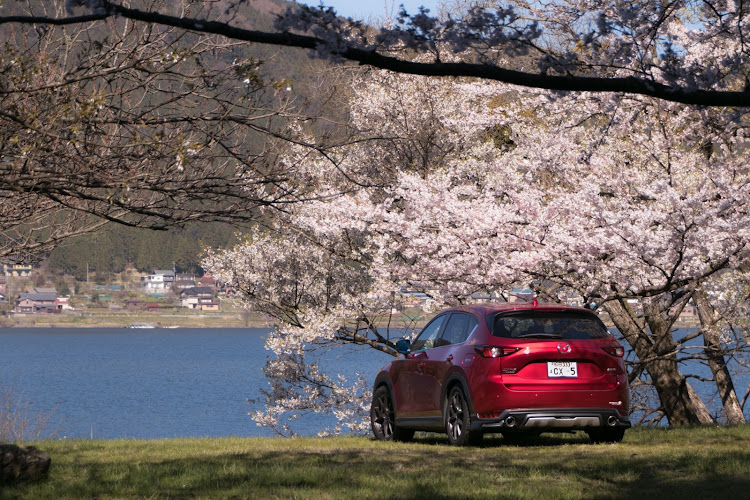 CX-5の桜・菜の花・城に関するカスタム事例の投稿画像3枚目