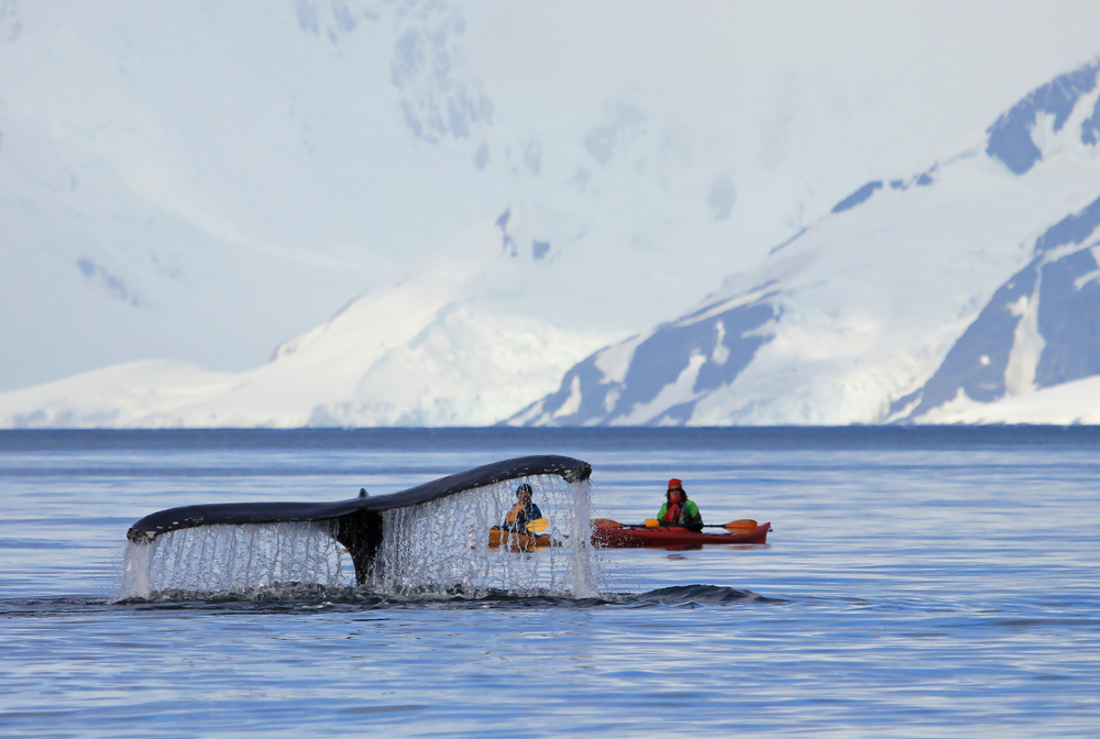 From the wilds of Siberia to the rugged and remote Fiordland, we've got the access.. these are some of our favourite of the world's most remote places