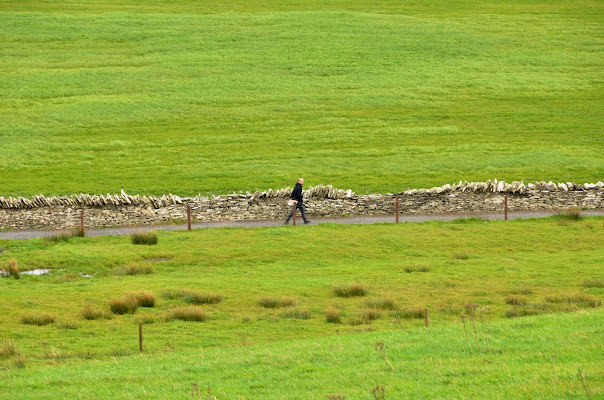 Solo tra il verde di Domidi