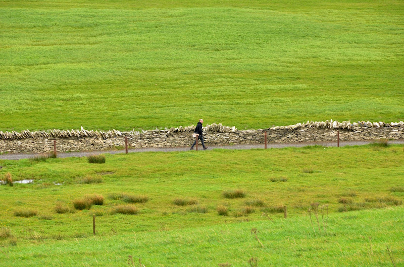 Solo tra il verde di Domidi