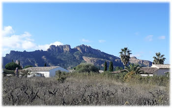 maison neuve à Roquebrune-sur-Argens (83)