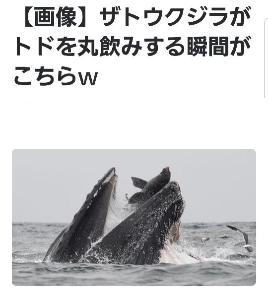 の投稿画像7枚目