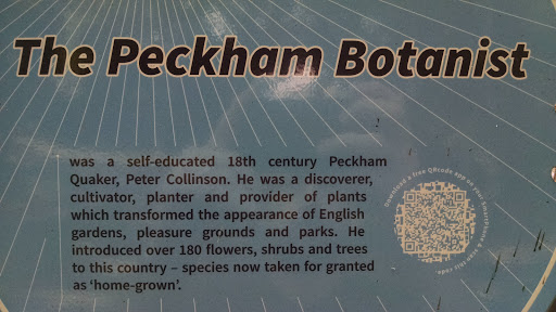 The Peckham Botanist