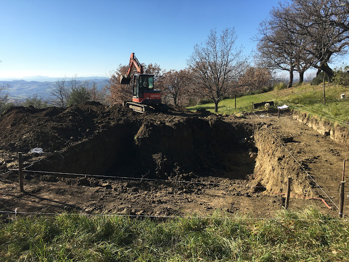 As the sun rose higher in the sky, the pool began to take shape