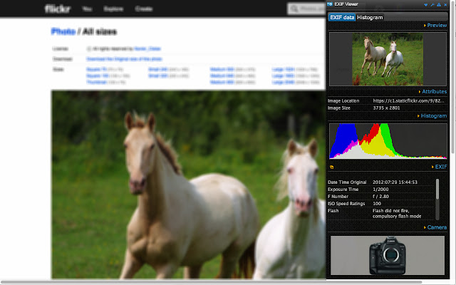 EXIF Viewer Pro chrome extension