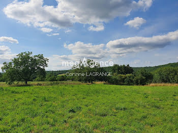 terrain à Cubjac-Auvézère-Val d'Ans (24)