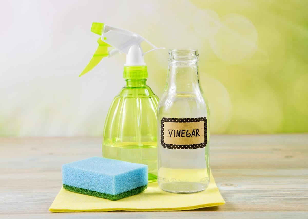 WeServe | cleaning products bottles of vinegar and water with a blue sponge with a greenish, white background