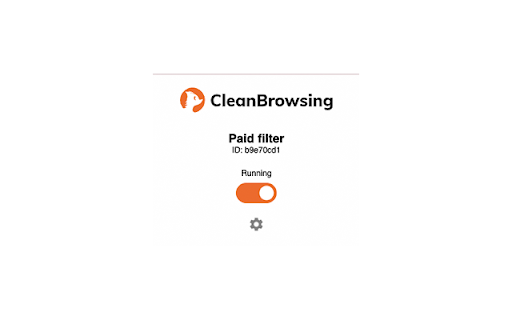 CleanBrowsing DNS Filtering for Schools