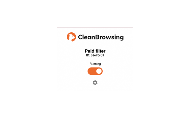 CleanBrowsing DNS Filtering for Schools Preview image 3