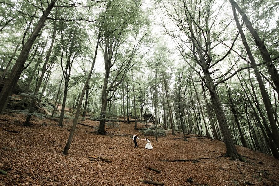 Svadobný fotograf Elizaveta Kovaleva (weddingingerman). Fotografia publikovaná 29. júna 2016