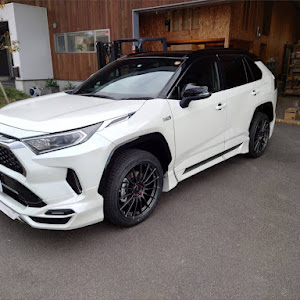 RAV4 AXAP54