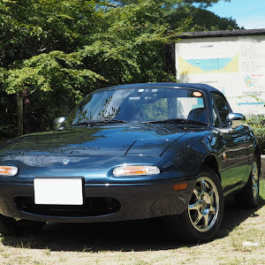 ロードスター NA8C