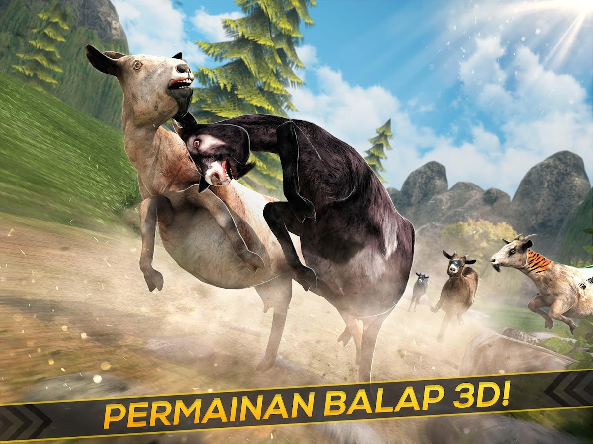 Kambing Lucu Liar Berlomba Apl Android Di Google Play