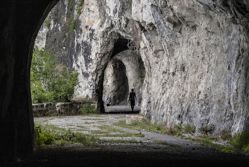 Seguimi di mariarosa-bc