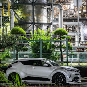 C-HR NGX50