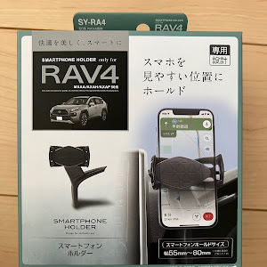 RAV4 AXAH54