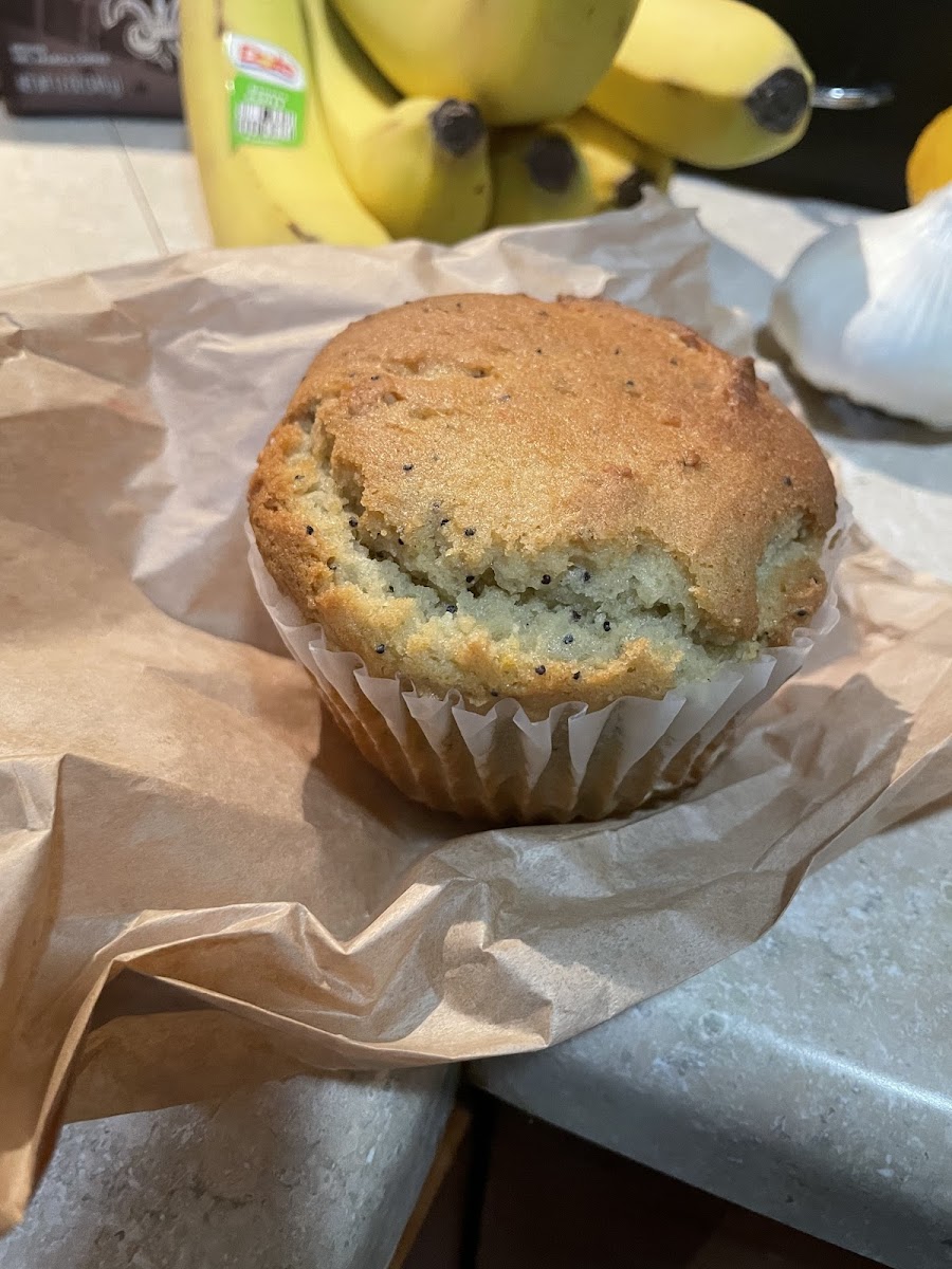 Lemon poppyseed muffin