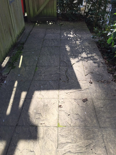 External cleaning sevices