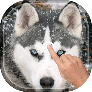 Magic Touch - Wolf Attack LWP  Icon