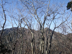 急斜面を上り詰め後ろに綿向山とイハイガ岳