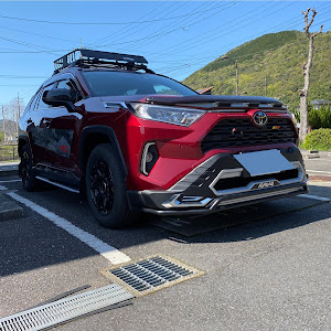 RAV4 MXAA52