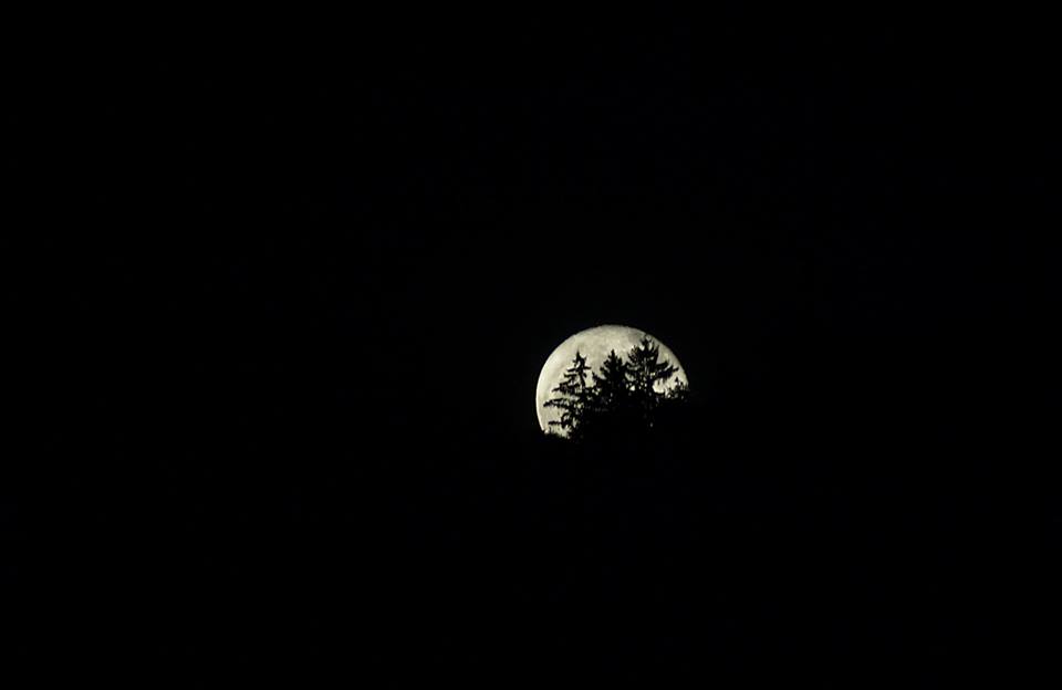 la luna dal monte di mm