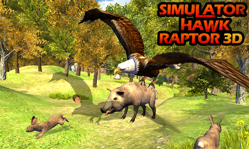 Simulator: Hawk Raptor 3D