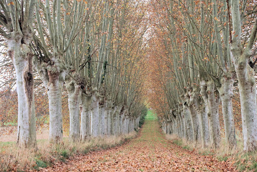Propriété avec piscine 1