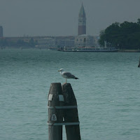 Siesta veneziana di 