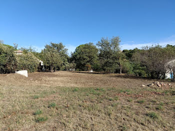 maison neuve à Vidauban (83)