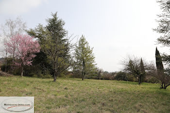 terrain à La Roche-Vineuse (71)