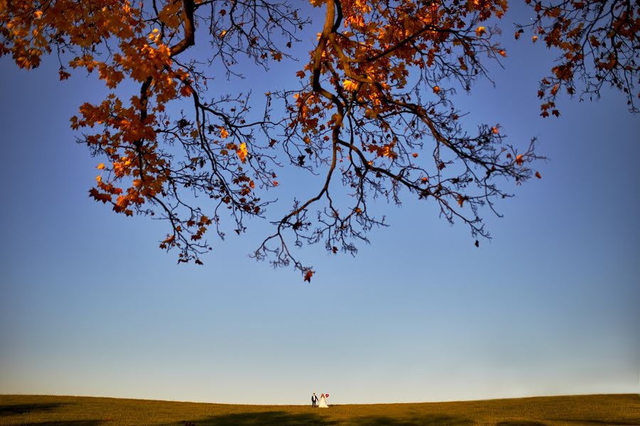 Jurufoto perkahwinan Adam Szczepaniak (joannaplusadam). Foto pada 17 Oktober 2017