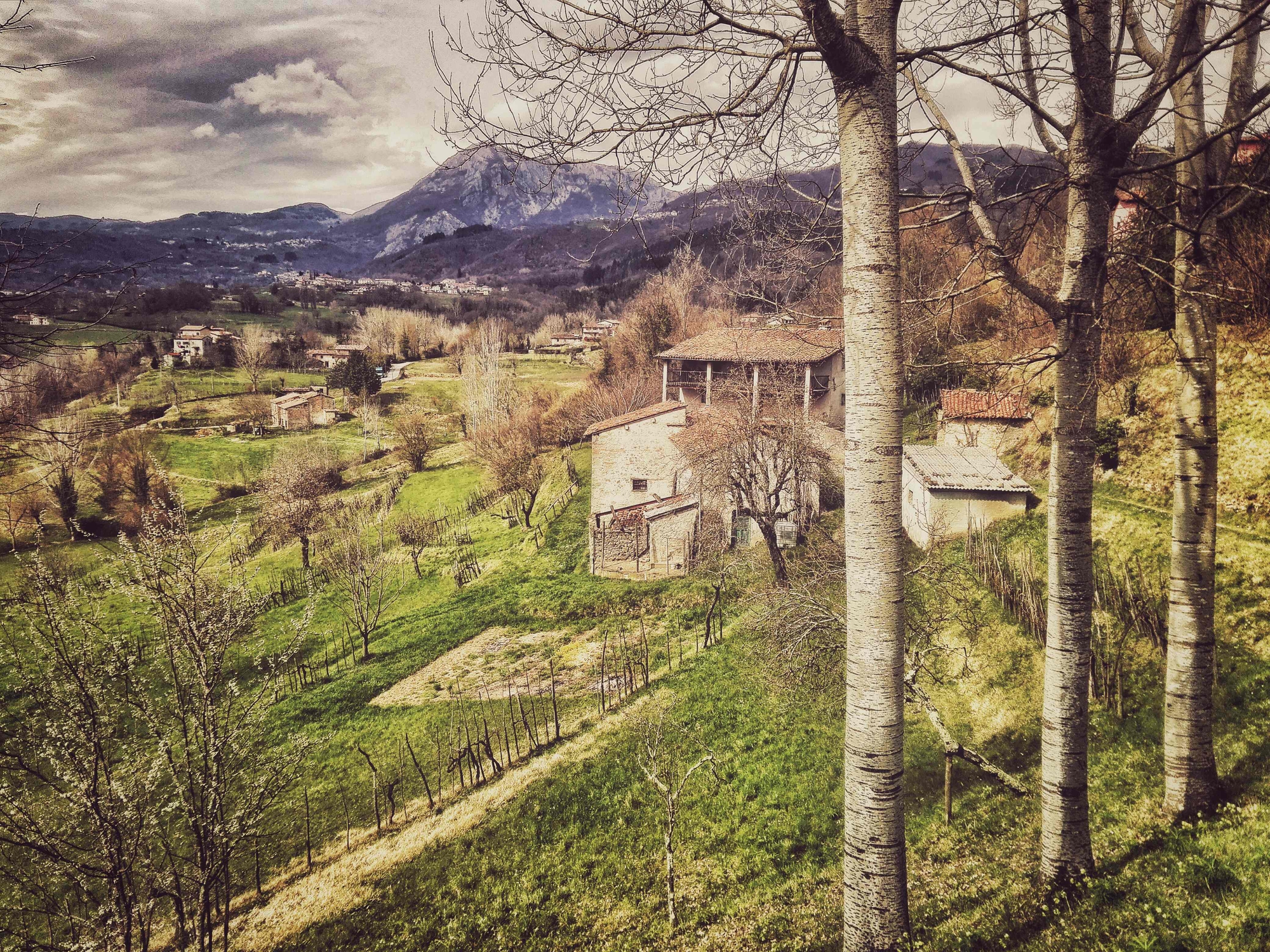 ''La montagna mi ha insegnato a non barare, a essere onesto con me stesso e con quello che facevo.'' Anche a a me. passeggicchio infatti di peste