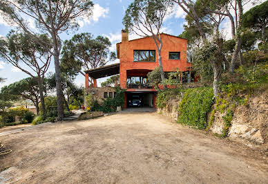 House with garden and terrace 2