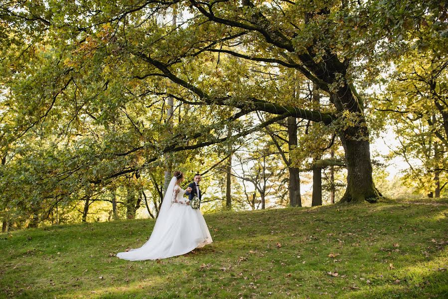 Fotografo di matrimoni Yana Petrus (petrusphoto). Foto del 9 gennaio 2018