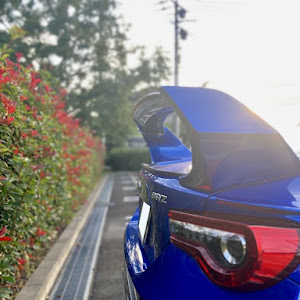 BRZ ZC6