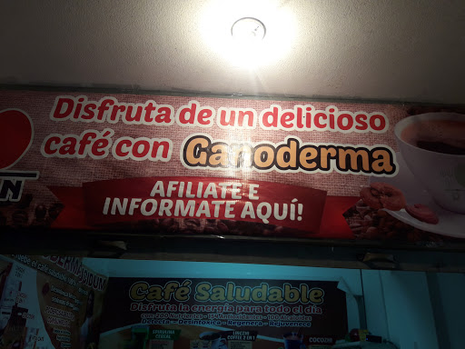 Ganoderma