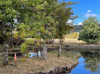 terrain à Montsauche-les-Settons (58)