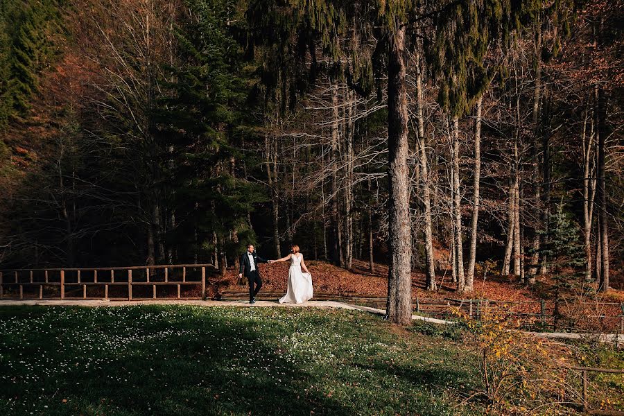 Fotógrafo de casamento Alex Pasarelu (belle-foto). Foto de 6 de novembro 2018