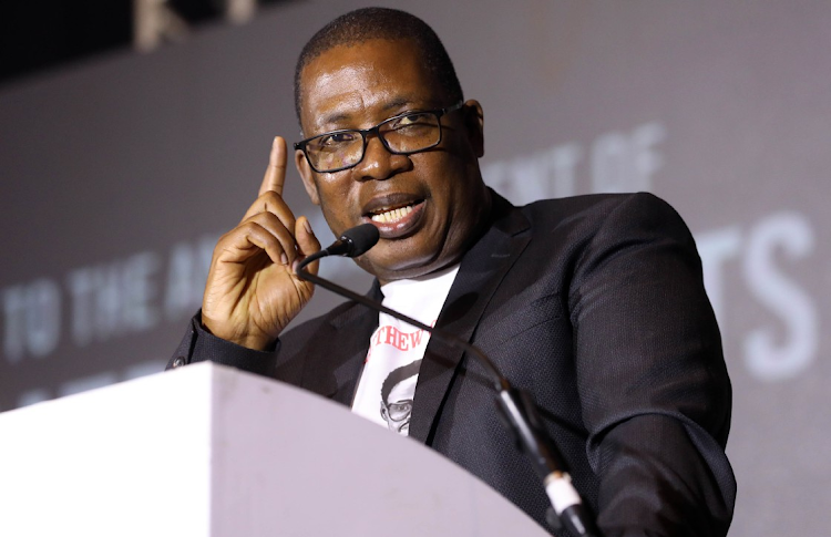 MEC for education in Gauteng Panyaza Lesufi. File photo.