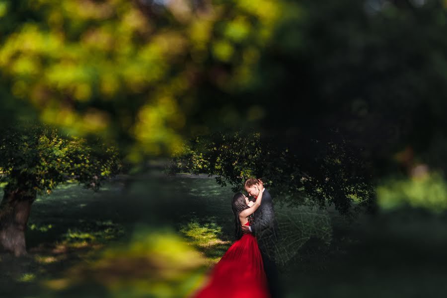 婚禮攝影師Slava Semenov（ctapocta）。2018 11月22日的照片