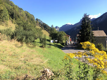 terrain à Bellevaux (74)