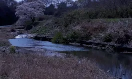 台風での、人災